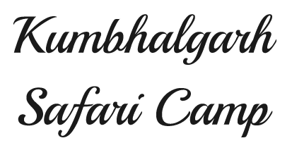 Kumbhalgarh Safari